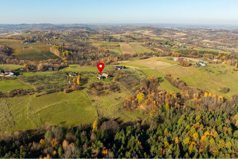 Dom wolnostojący - Sprzedaż - Krasne-Lasocice, Polska - 5.jpg - 800241017-143