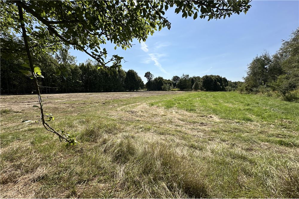 Działka - Sprzedaż - Jankowice, Polska - 15 - 800061103-174