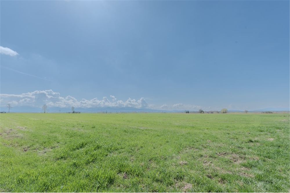 Nieruchomość gruntowa - Sprzedaż - Jabłonka, Polska - 29 - 470131089-56