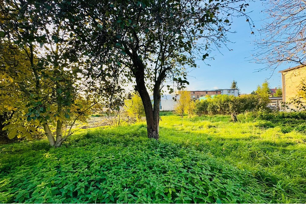 Działka budowlana - Sprzedaż - Rybnik, Polska - zagłoby 11.jpg - 470311001-56