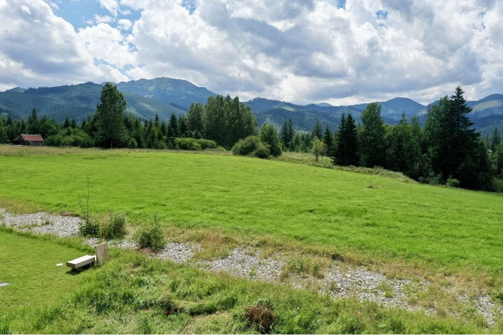 Działka budowlana - Sprzedaż - Witów, Polska - 14.jpg - 470151015-493