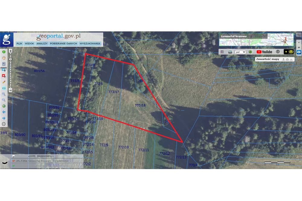 Nieruchomość gruntowa - Sprzedaż - Dzianisz, Polska - 62 - 800061116-23