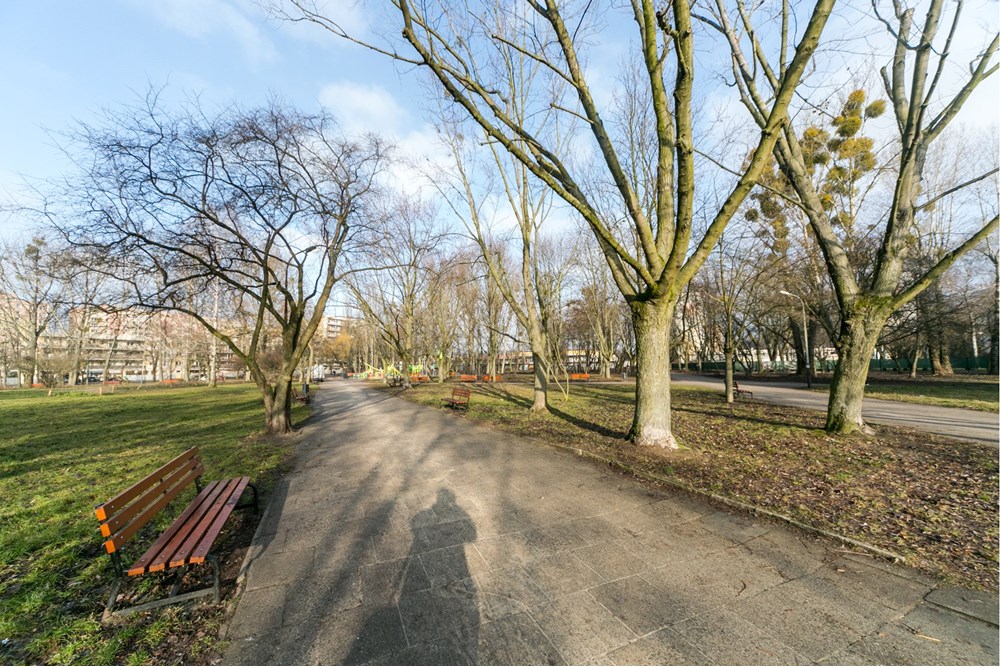 Mieszkanie - Sprzedaż - Łódź, Polska - 412B9200.JPG - 470271009-8