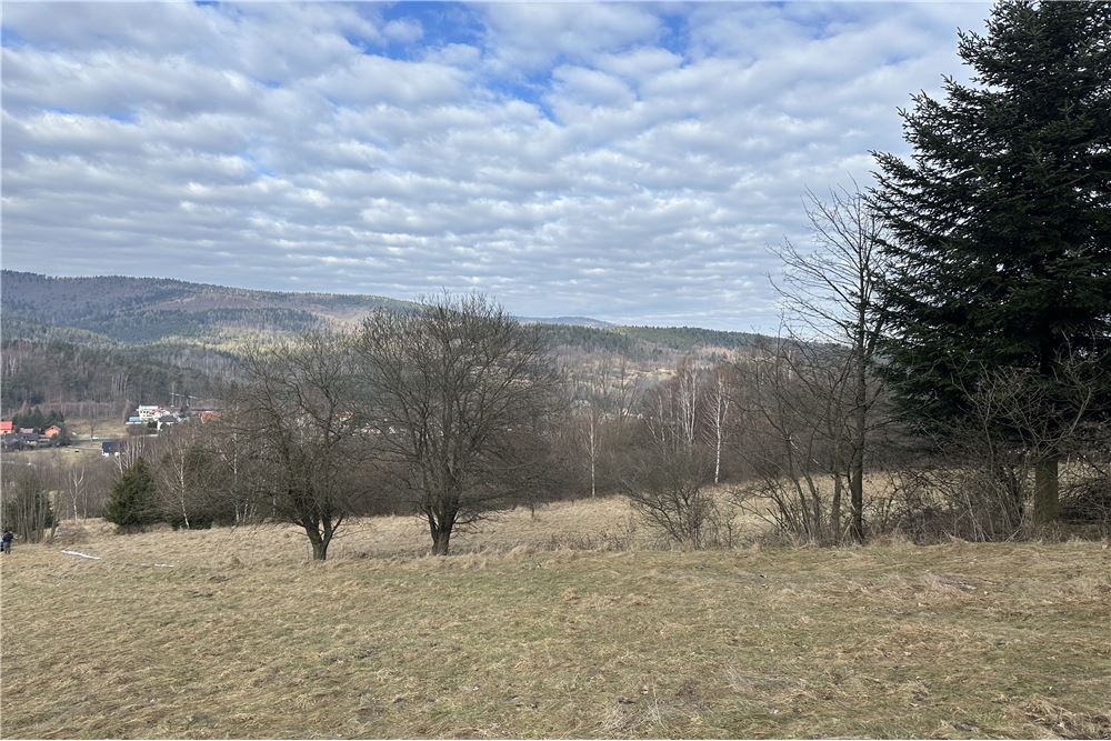 Działka budowlana - Sprzedaż - Las, Polska - 44 - 800061103-198