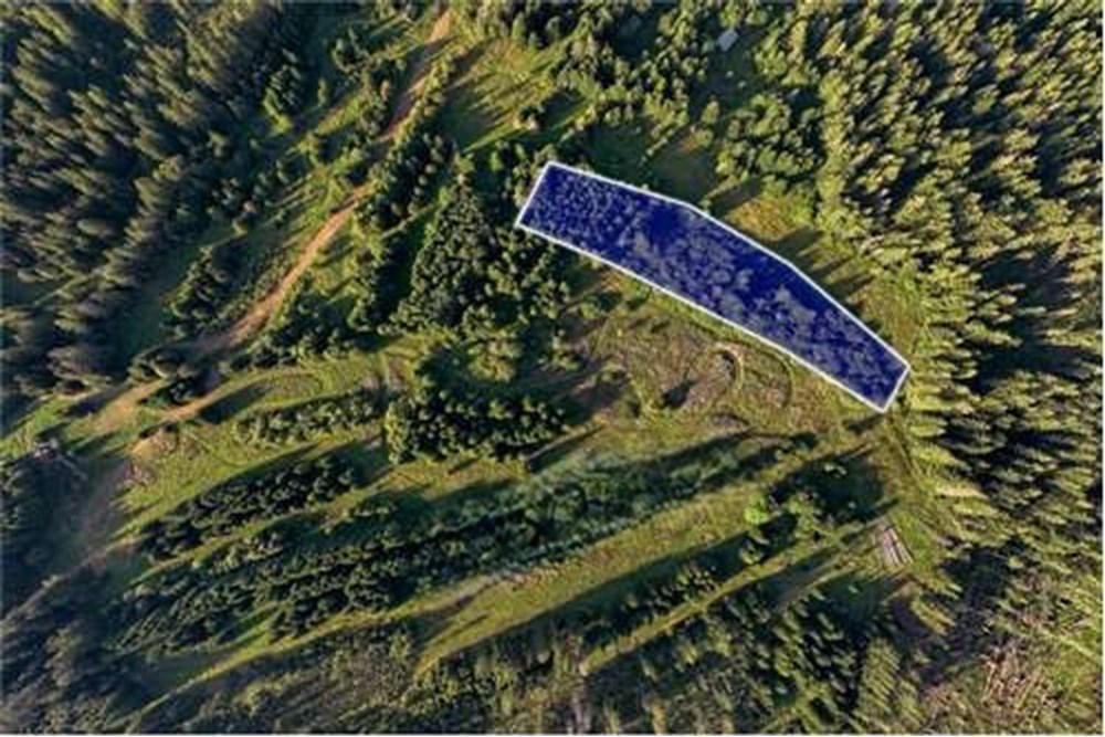 Działka - Sprzedaż - Dzianisz, Polska - Dziedzicówka-OF1.0.jpg - 470151050-7