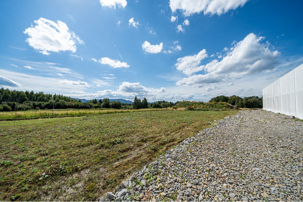 Nieruchomość gruntowa - Sprzedaż - Wieprz, Polska - Foto_005.jpg - 800271009-79