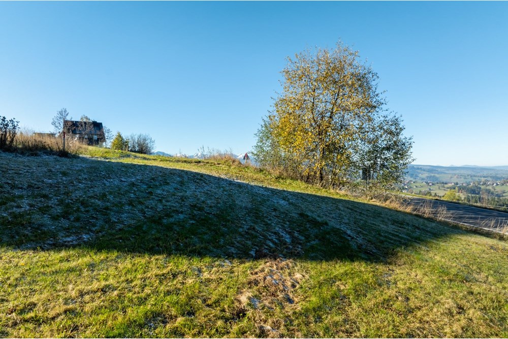Działka budowlana - Sprzedaż - Sierockie, Polska - 20251020-DJI_0363-HDR.jpg - 470151051-82