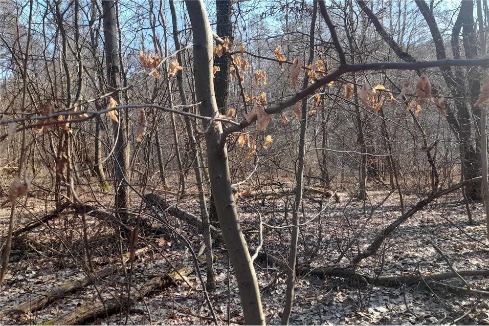 Działka - Sprzedaż - Kraków, Polska - 23 - 800241031-34