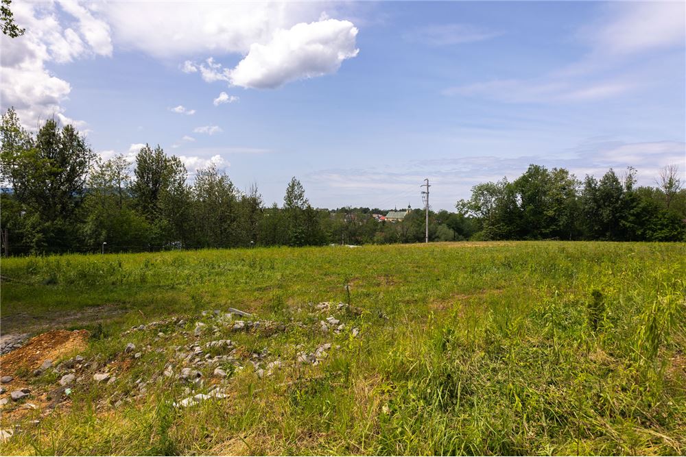 Nieruchomość gruntowa - Sprzedaż - Bulowice, Polska - 11 - 800061107-100