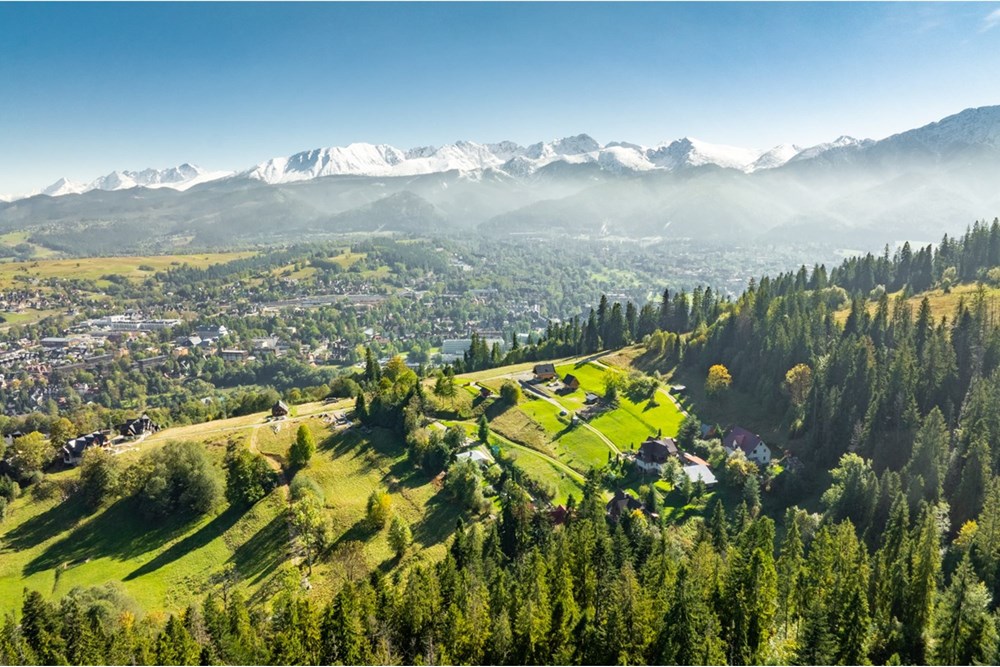 Działka - Sprzedaż - Zakopane, Polska - 20251004-DJI_0911-HDR.jpg - 470151024-455