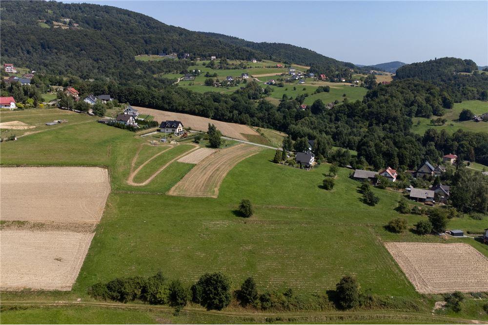 Działka - Sprzedaż - Młynne, Polska - 22 - 800061103-179