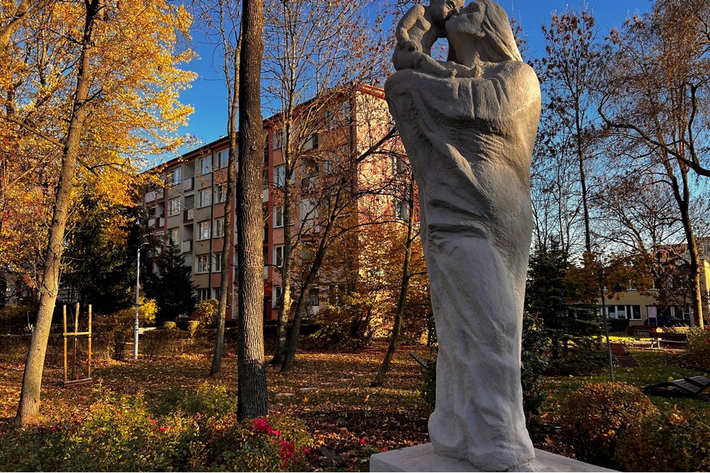 Mieszkanie - Sprzedaż - Bielsko-Biała, Polska - IMG_8793.jpeg - 800061117-38