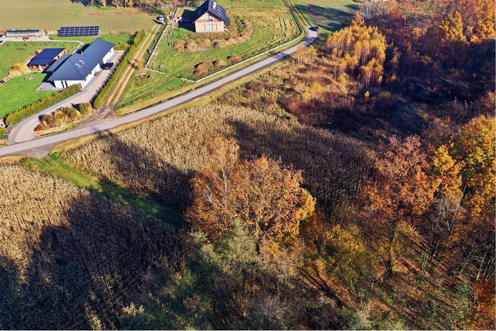 Działka - Sprzedaż - Witkowice, Polska - 5.JPG - 470131110-2