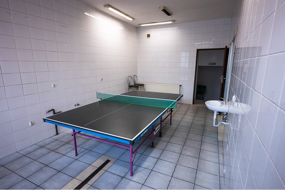 Lokal handlowy/usługowy - Wynajem - Imielin, Polska - DSC_2765.jpg - 800061127-7