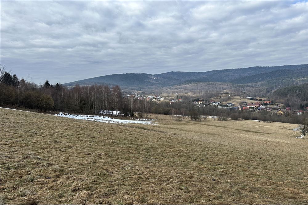 Działka budowlana - Sprzedaż - Las, Polska - 9 - 800061103-198