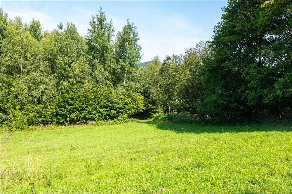 Działka - Sprzedaż - Tarnawa Dolna, Polska - 46 - 800061116-22