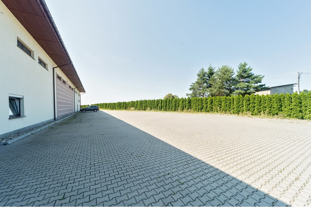 Hala - Sprzedaż - Czaniec, Polska - CG15_005D.jpg - 800061100-89