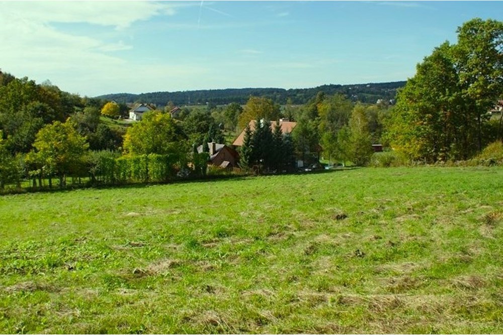 Działka - Sprzedaż - Włosań, Polska - DSC07825kkk.JPG - 800241010-104