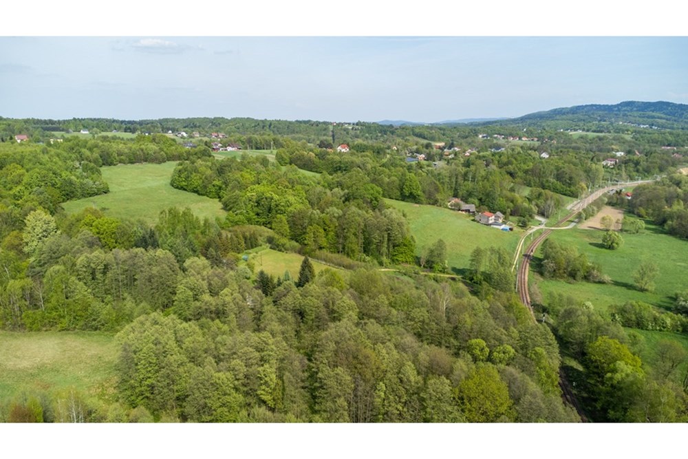 Działka - Sprzedaż - Barwałd Średni, Polska - BARWAŁD ŚREDNI_26.JPG - 470131106-29