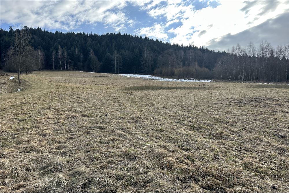 Działka budowlana - Sprzedaż - Las, Polska - 51 - 800061103-198