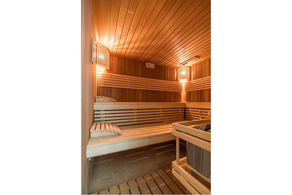 Rezydencja/Willa/Dworek - Sprzedaż - Srebrna Góra, Polska - 018 sauna.jpg - 800271021-13