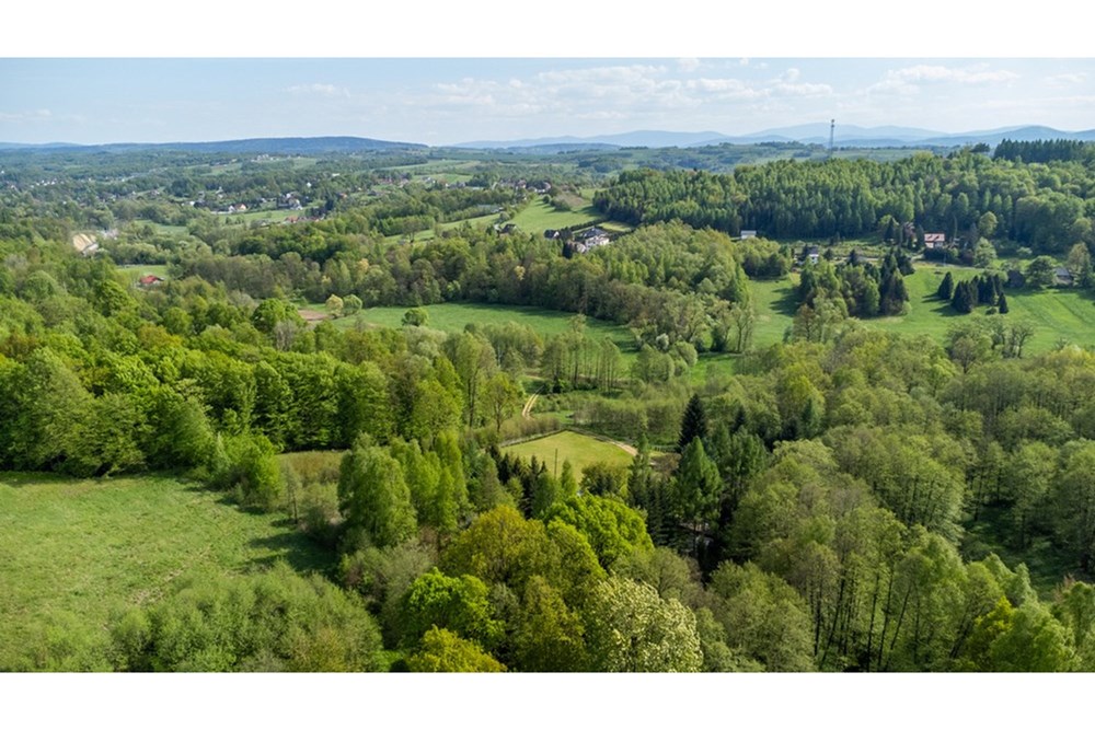 Działka - Sprzedaż - Barwałd Średni, Polska - BARWAŁD ŚREDNI_25.JPG - 470131106-29