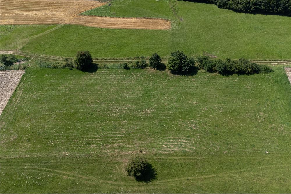 Działka budowlana - Sprzedaż - Młynne, Polska - 26 - 800061103-178