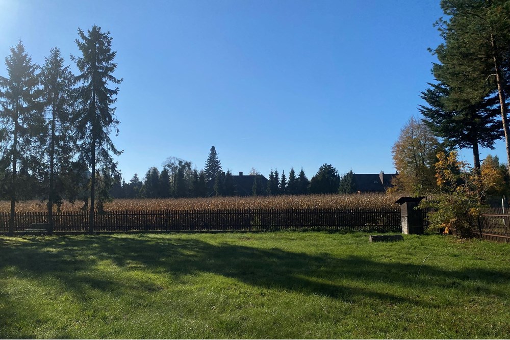 Działka budowlana - Sprzedaż - Piasek, Polska - IMG_7646.jpeg - 800061028-547