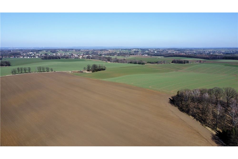 Działka budowlana - Sprzedaż - Osiek, Polska - 7 - 800061127-2