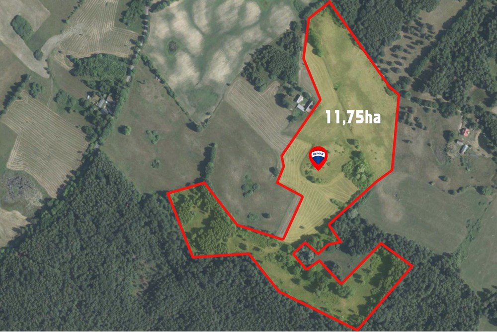 Działka - Sprzedaż - Nowe Worowo, Polska - DZI_11M.jpg - 800061093-117