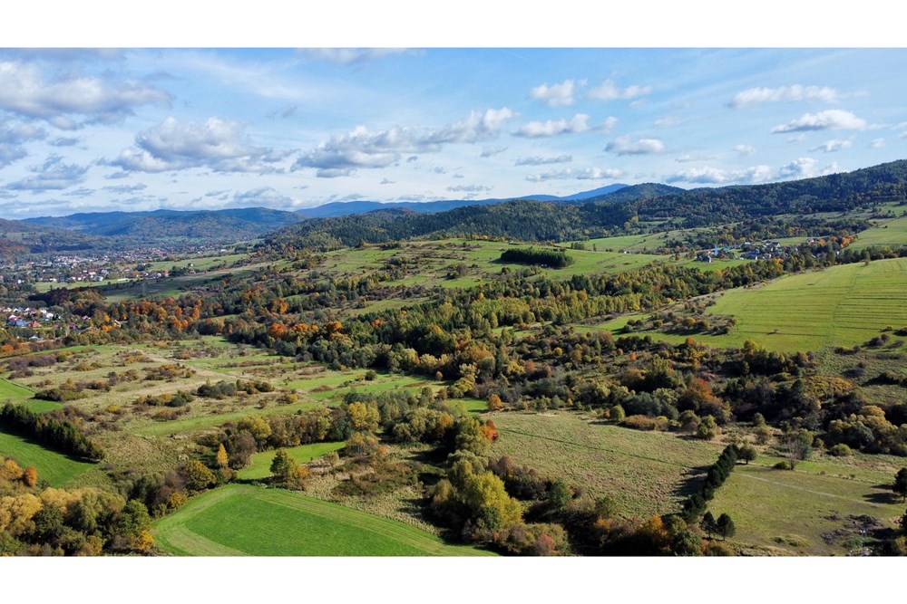 Działka budowlana - Sprzedaż - Żywiec, Polska - dji_fly_20251013_125820_225_1760441667368_photo_optimized.jpeg - 800061098-177