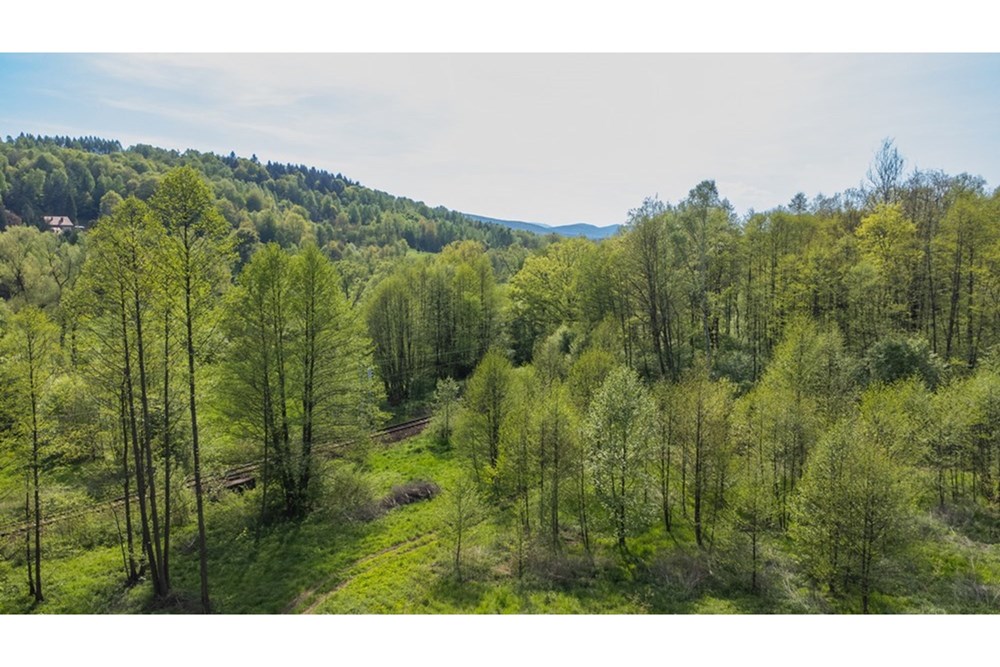 Działka - Sprzedaż - Barwałd Średni, Polska - BARWAŁD ŚREDNI_31.JPG - 470131106-29