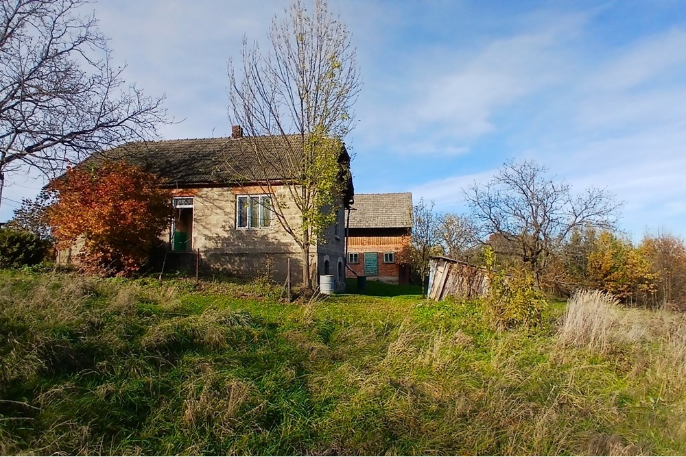 Dom wolnostojący - Sprzedaż - Krasne-Lasocice, Polska - 20251031_133821.jpg - 800241017-143