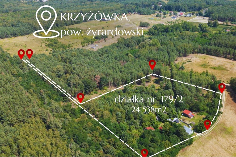 Działka - Sprzedaż - Krzyżówka, Polska - 2.jpg - 810051043-37