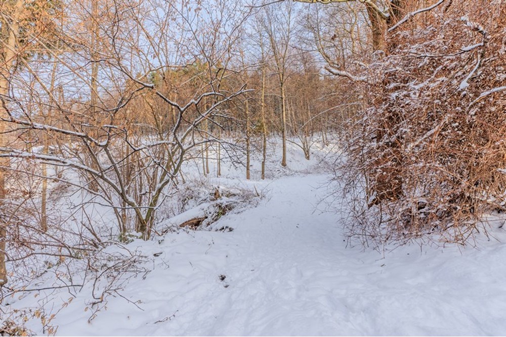 Działka budowlana - Sprzedaż - Bielsko-Biała, Polska - 11..jpg - 470131102-20