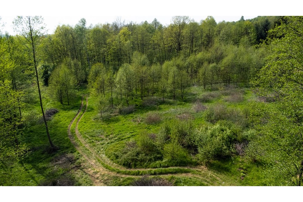 Działka - Sprzedaż - Barwałd Średni, Polska - BARWAŁD ŚREDNI_6.JPG - 470131106-29