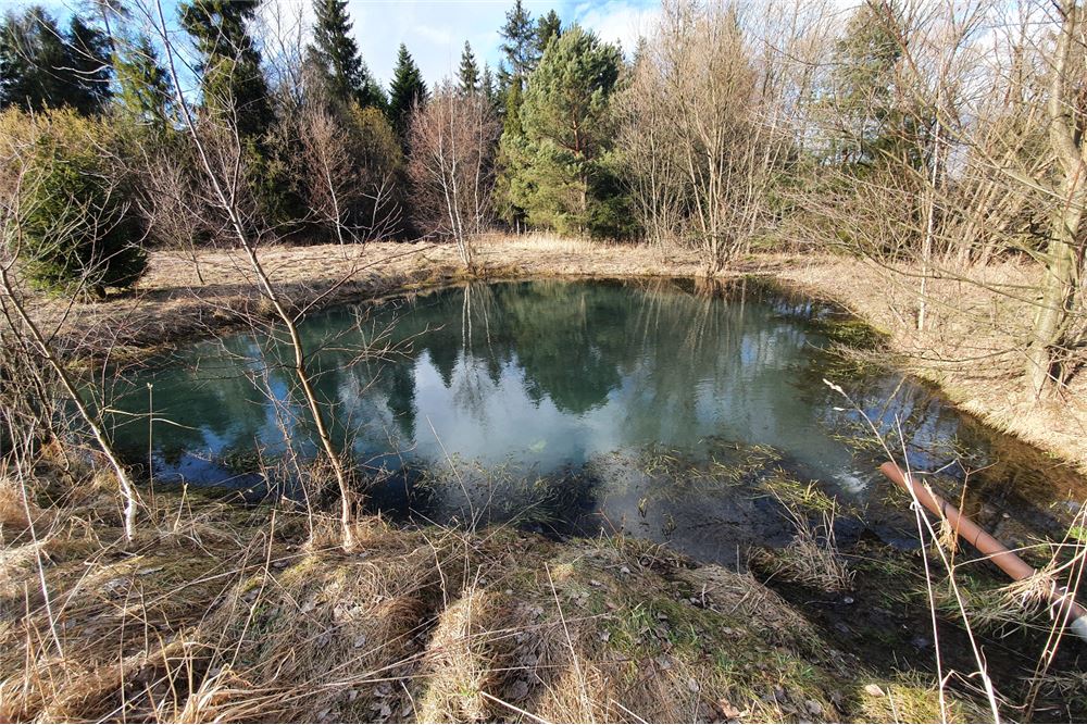 Działka budowlana - Sprzedaż - Bystra, Polska - 6 - 800091026-75