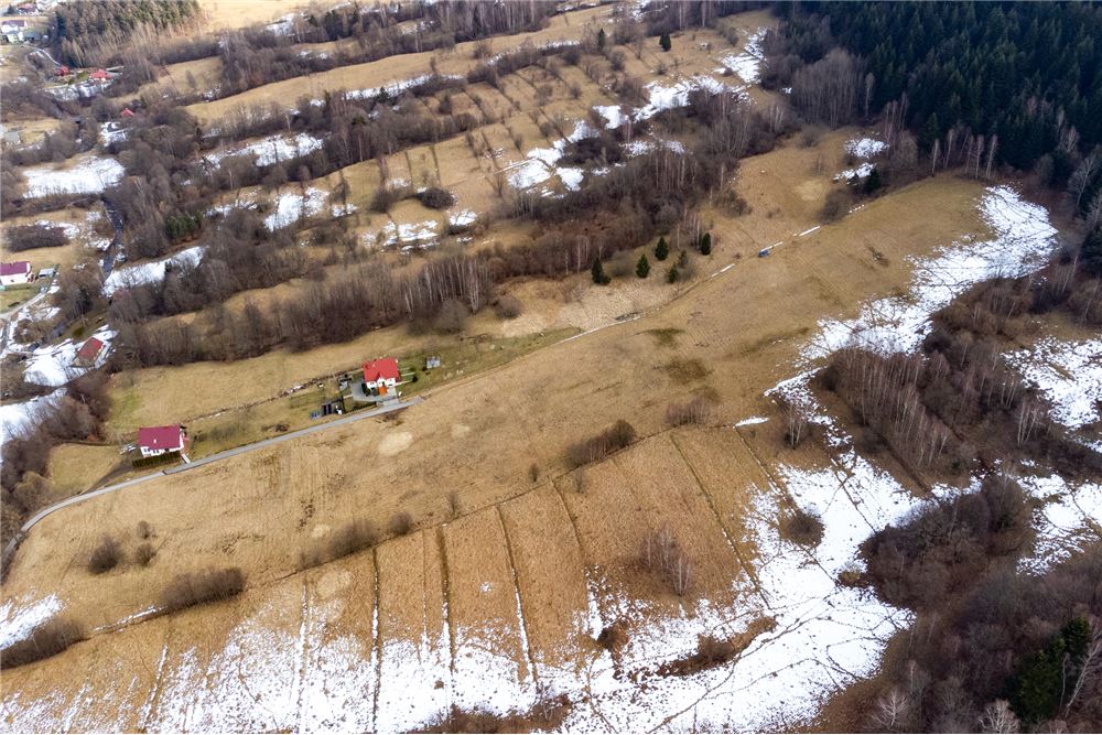 Działka budowlana - Sprzedaż - Las, Polska - 30 - 800061103-198