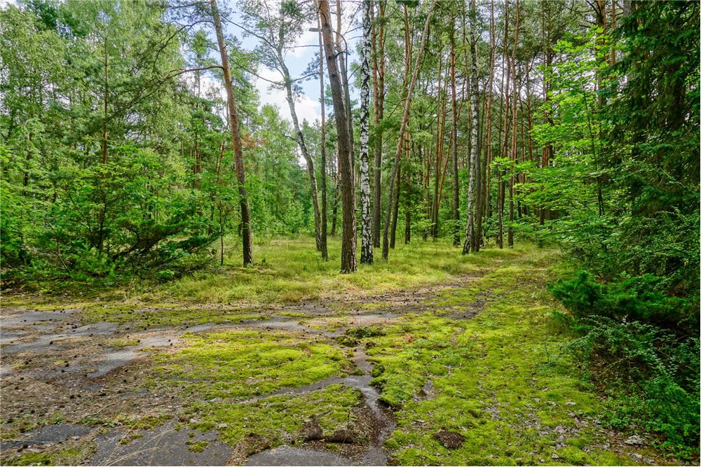 Nieruchomość inwestycyjna - Sprzedaż - Osiedle Wilga, Polska - 3 - 810141002-647