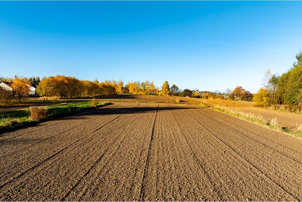 Działka budowlana - Sprzedaż - Trąbki, Polska - 20251031-DJI_0992-HDR.jpg - 800241005-219