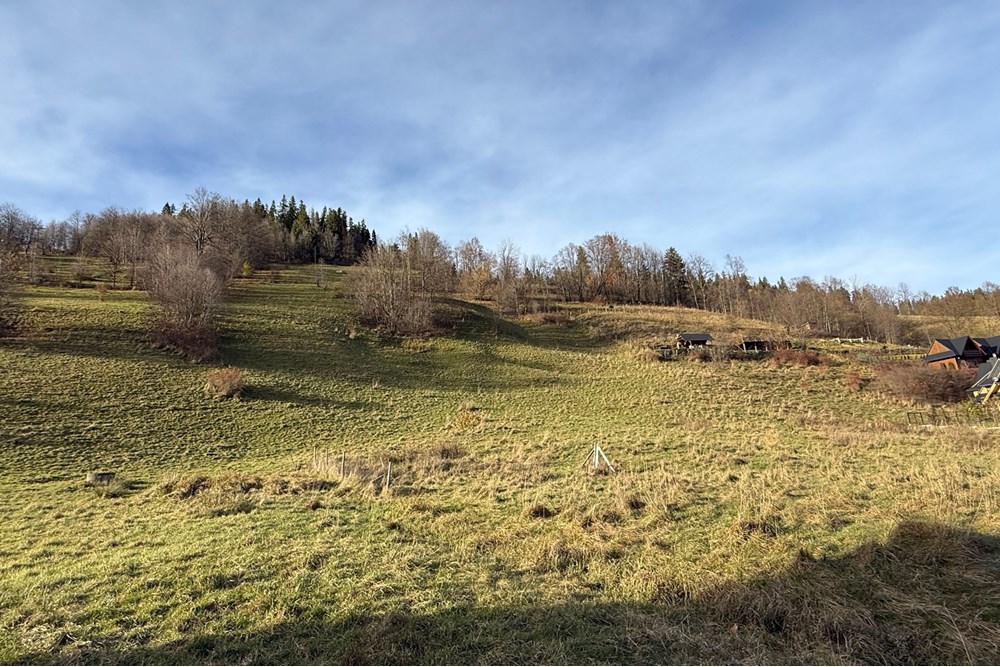 Działka budowlana - Sprzedaż - Zakopane, Polska - 1475m2.jpg (78).jpg - 470151015-497