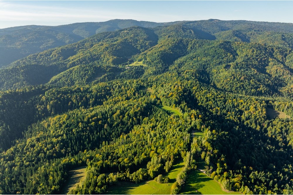 Działka - Sprzedaż - Harklowa, Polska - 20251004-DJI_0216-HDR.jpg - 470151024-458