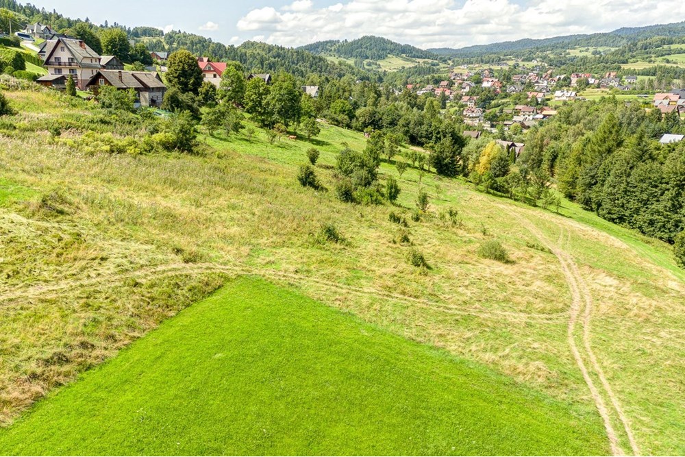 Działka - Sprzedaż - Krośnica, Polska - 0028_pajerski-dzialka-krosnica.jpg - 470131113-349