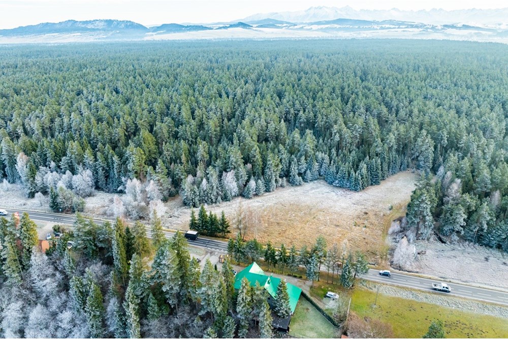 Działka - Sprzedaż - Harklowa, Polska - 20251119-DJI_0810-HDR.jpg - 470151024-463