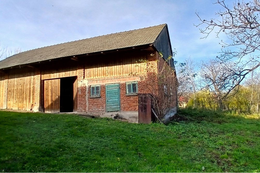 Dom wolnostojący - Sprzedaż - Krasne-Lasocice, Polska - 20251031_133748.jpg - 800241017-143