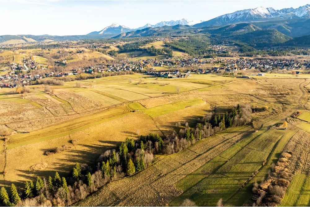 Działka - Sprzedaż - Zakopane, Polska - 20251114-DJI_0098-HDR.jpg - 800091026-88