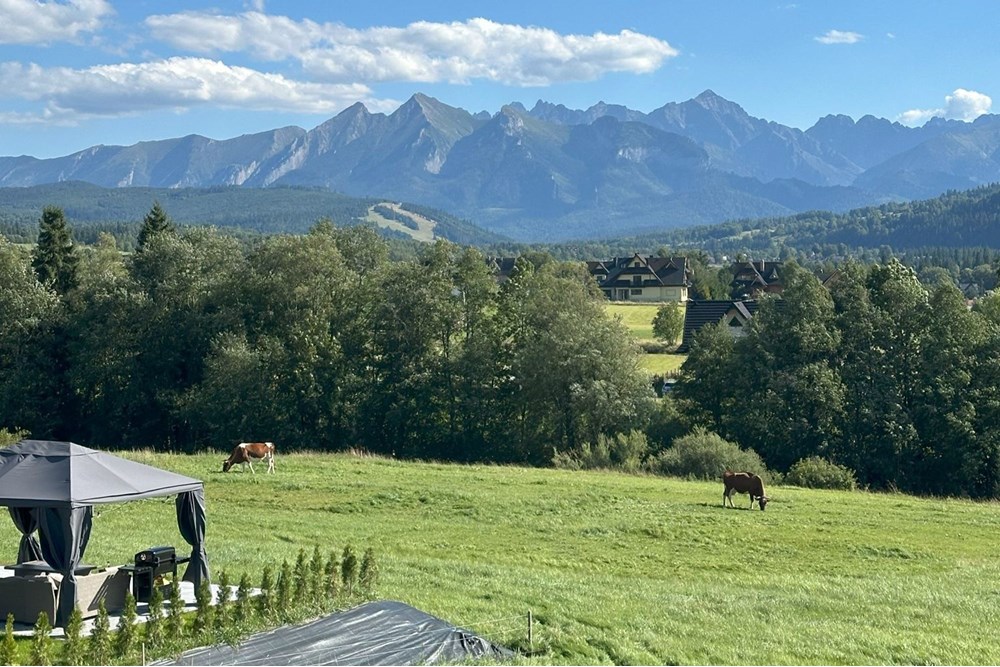 Dom wolnostojący - Sprzedaż - Czarna Góra, Polska - 16.jpg - 800091058-6