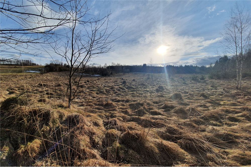 Działka budowlana - Sprzedaż - Bystra, Polska - 4 - 800091026-75