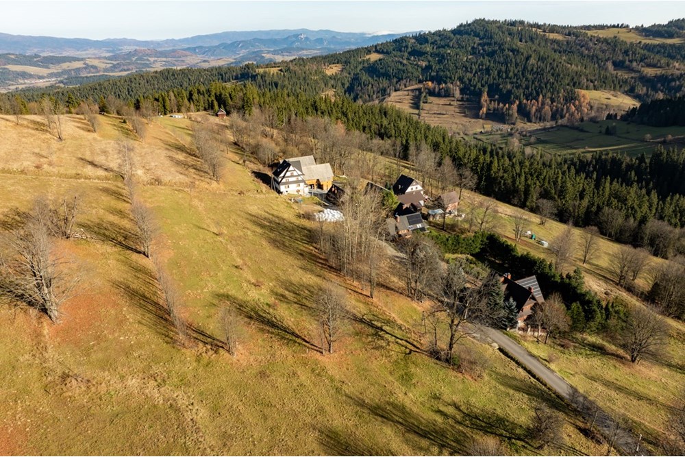 Działka - Sprzedaż - Rzepiska, Polska - 20251114-DJI_0899-HDR.jpg - 800091045-42