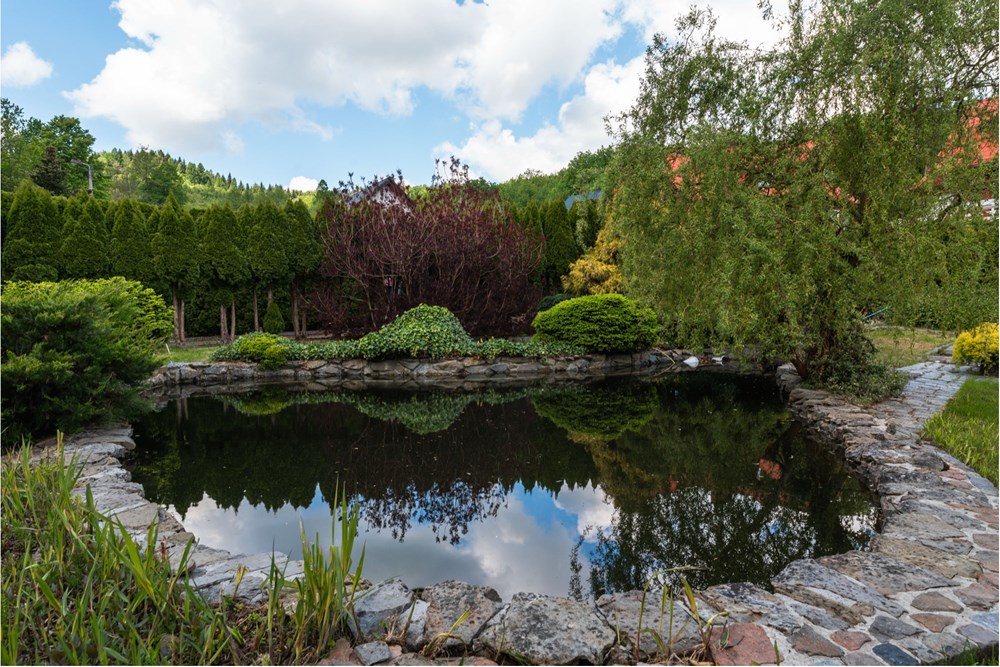 Rezydencja/Willa/Dworek - Sprzedaż - Ponikiew, Polska - IMG_1331.jpeg - 800061126-8